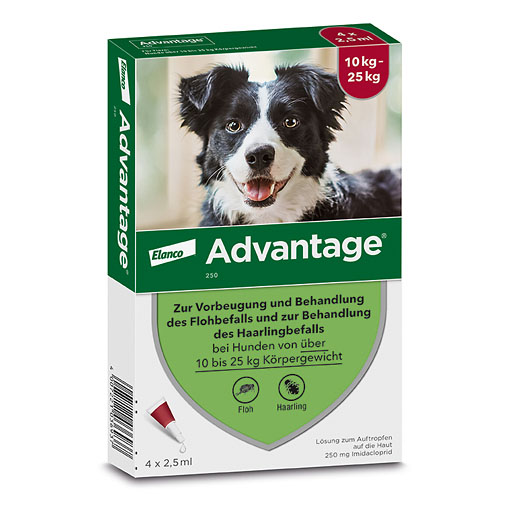 ADVANTAGE 250 Lösung f.Hunde 10-25 kg